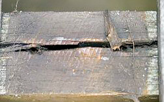 Example of deterioration of split timber decking joist